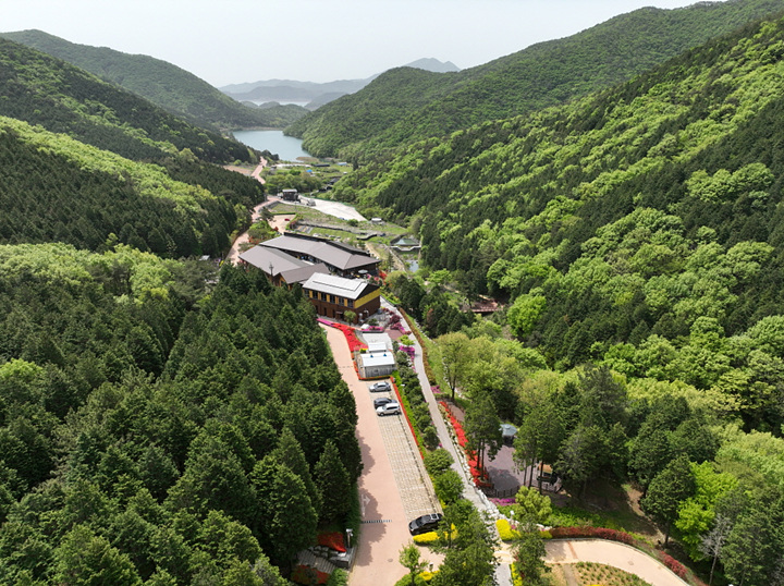 팔영산편백치유의 숲 전경 ⓒ고흥군