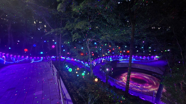 사직 빛의 숲 ⓒ광주시