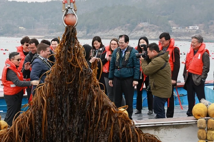 ▲완도군 해조류 양식장을 방문한 미 에너지부 산하기관 에너지 고등 계획원 관계자들과 함께한 신우철 군수(가운데) ⓒ완도군