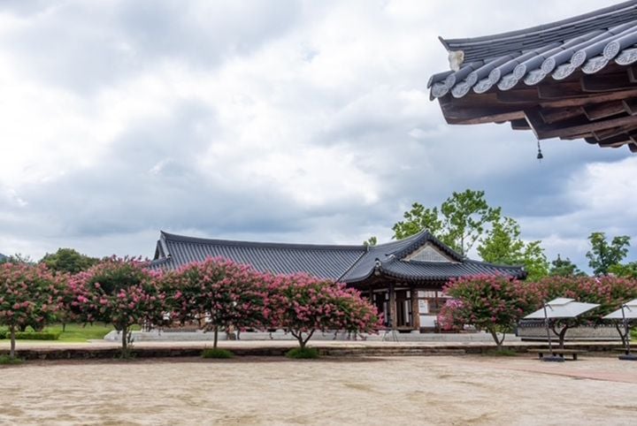 순천만국가정원 테라피가든 전경 ⓒ순천시