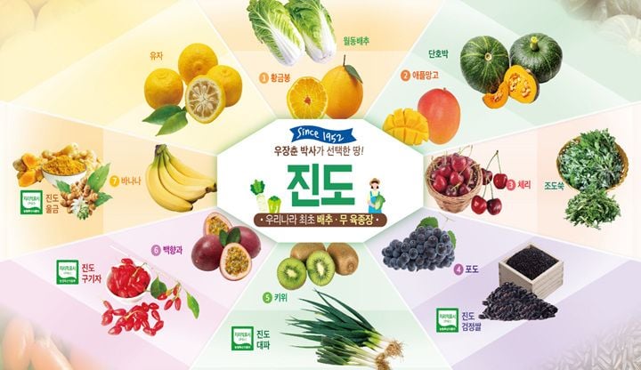 ⓒ진도군