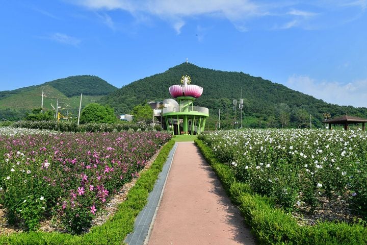 무궁화공원 ⓒ장성군