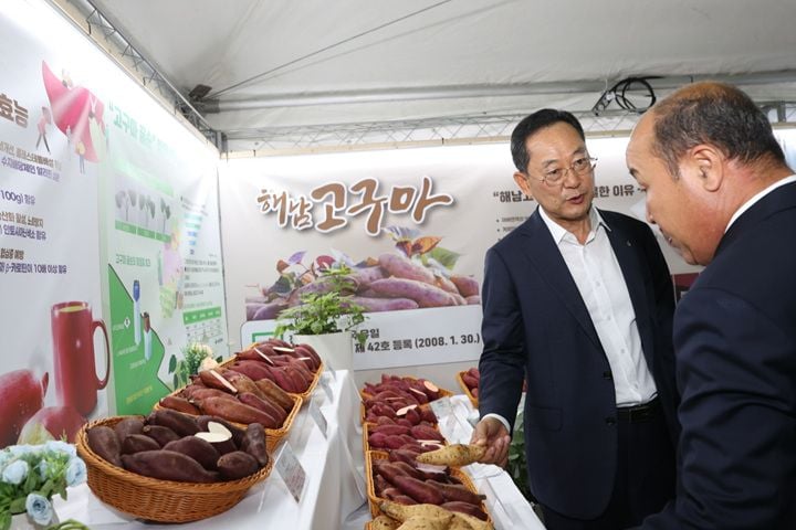 고구마전시관(해남미남축제) ⓒ해남군