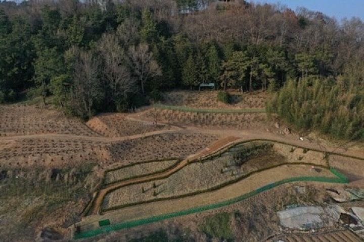 ⓒ영광군