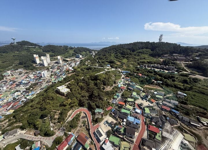 소나무 재선충병 확산 방지 위한 발생 지역 항공 예찰 ⓒ완도군