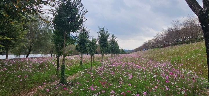 ▲대황강 자연휴식공원 ⓒ곡성군