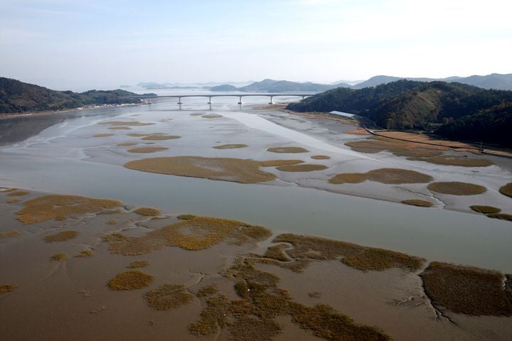 여자만 습지 ⓒ보성군