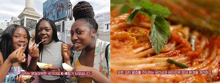 서경덕 교수실 제공