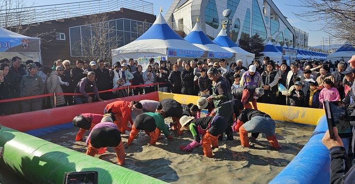 벌교꼬막축제는 유네스코 갯벌·지리적표시 1호 꼬막의 가치를 알리고, 문학·예술·체험 프로그램이 더해져 지역 대표 축제로 자리매김했다.