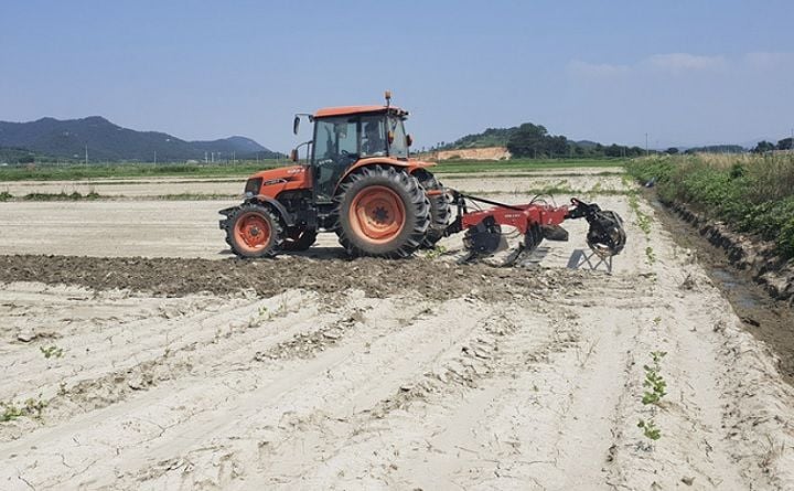 전남 더불어민주당 이개호·서삼석·문금주 의원이 정부의 미등록 외국인 단속 중단과 농촌 인력난 해소를 촉구했다. “단속만으론 농사 불가능, 양성화 시급”이라며 제도 개선을 요구했다.