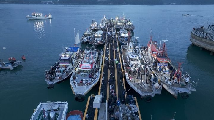 대회 성공을 위해 출항을 준비중인 낚시선박들 ⓒ강진군