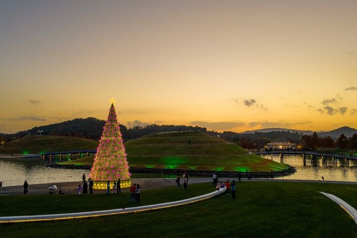 노을과 함께하는 순천만국가정원 호수정원 대형트리 ⓒ순천시