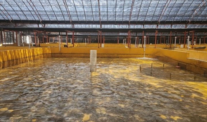 완도 광어 양식장 ⓒ완도군