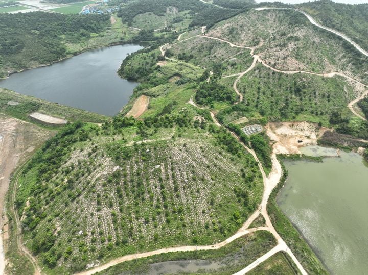 신안군 섬숲 전경 ⓒ전남도