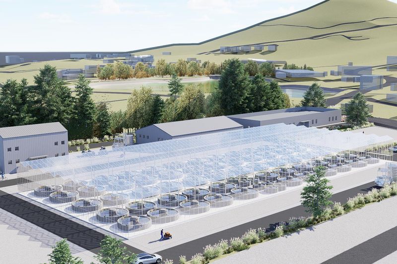 완도군이 해조류를 기반으로 해양바이오산업 육성에 속도를 내고 있다.ⓒ해조류 스마트 팩토리 조감도