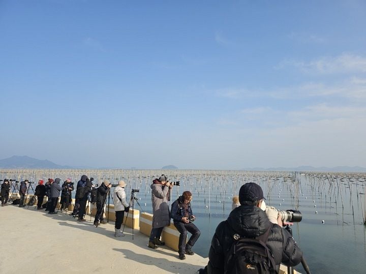 장흥군 대덕읍 매생이 양식장이 겨울철 사진 명소로 떠오르며 전국 사진작가들의 발길이 이어지고 있다.ⓒ장흥군