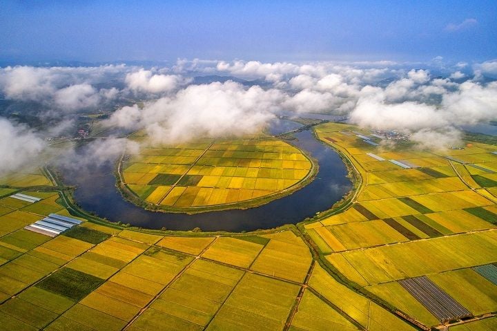 나주시가 2026년을 기점으로 농생명 산업을 핵심 성장동력으로 농업의 산업화와 고부가가치화를 본격 추진한다.‘남도의 젖줄’ 영산강 유역에 드넓게 펼쳐진 나주평야.ⓒ 나주시