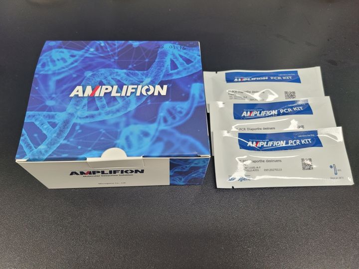 고구마 덩이줄기썩음병 진단키트 ⓒ해남군