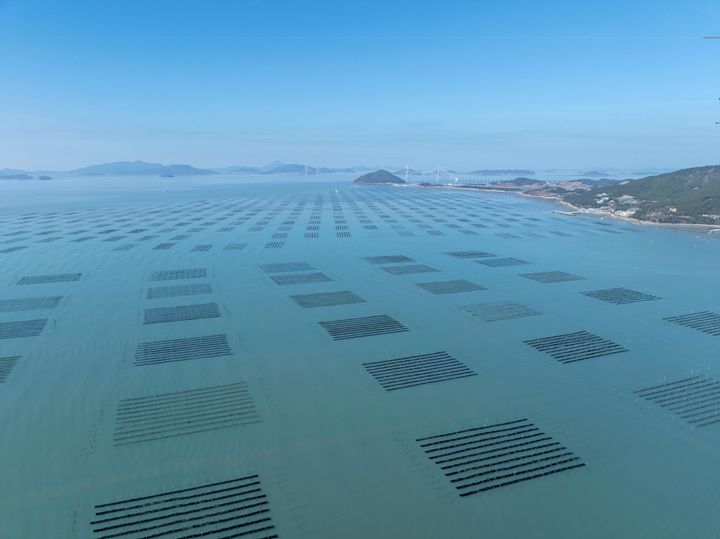 김양식 ⓒ전라남도