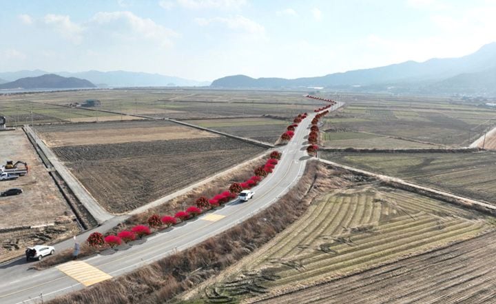 신규가로수길 조감도 ⓒ강진군