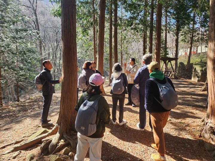 국립장성숲체원이 폐업·위기 소상공인을 위한 산림치유 캠프를 운영한다. 사진 국립장성숲체원 제공