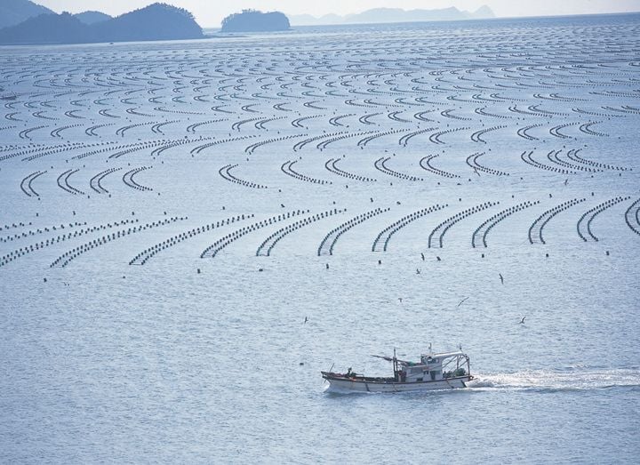 땅끝 청정바다 ⓒ해남군