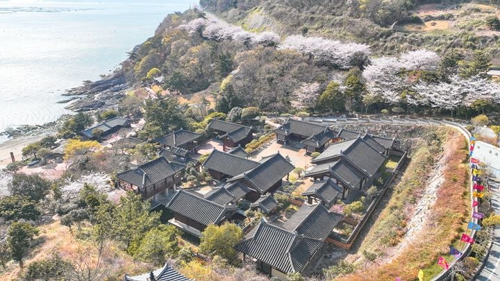 완도 청해포구 촬영장 전경 ⓒ완도군