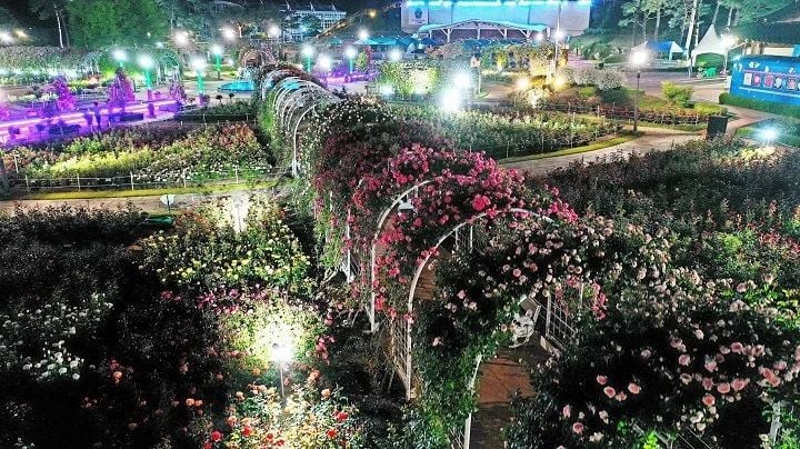 지난해 열린 곡성 장미축제 야간 조경 곡성군 제공 