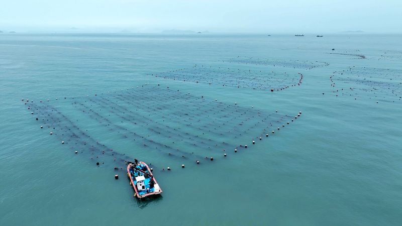 완도군 '바다숲 탄소거래 사업' 전국 최다 선정…블루카본 선두주자 부상