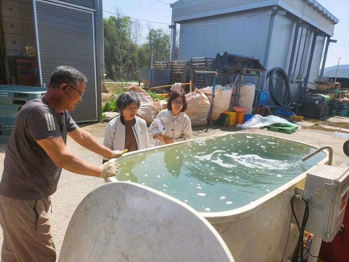 들녘경영체 볍씨 온탕소독 현장점검 ⓒ장성군