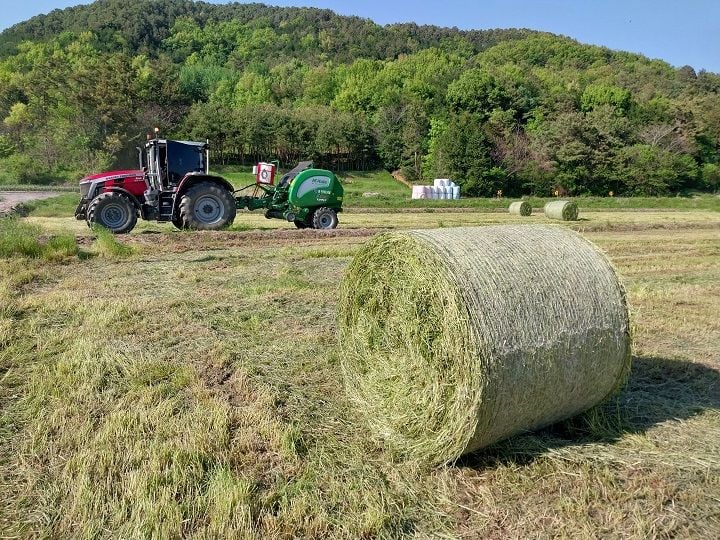 이탈리안라이그라스를 수확해 사일리지용 롤을 제작하는 모습  강진군 제공