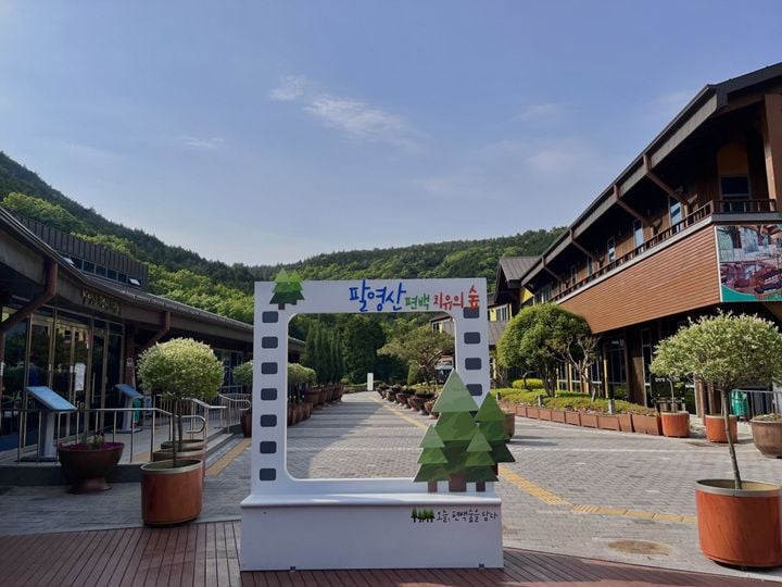 팔영산 편백 치유의 숲 감성 포토존 ⓒ고흥군