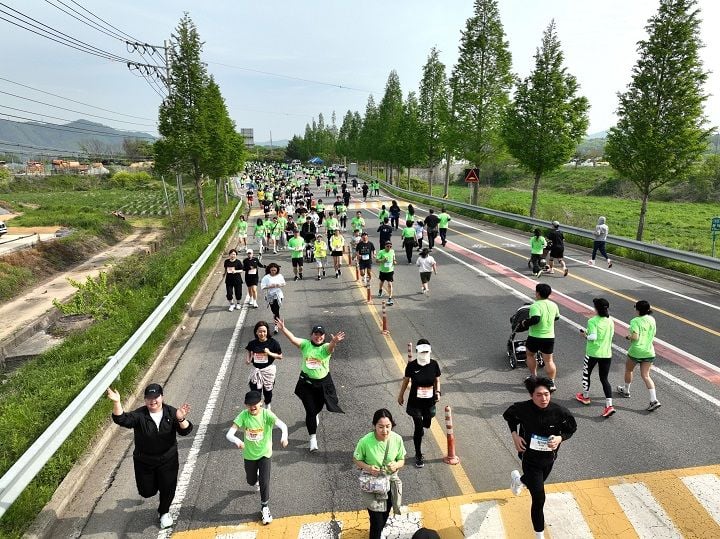메타세쿼이아 길 등 자연 경관을 따라 참가자들이 레이스를 펼쳤다. 보성군 제공