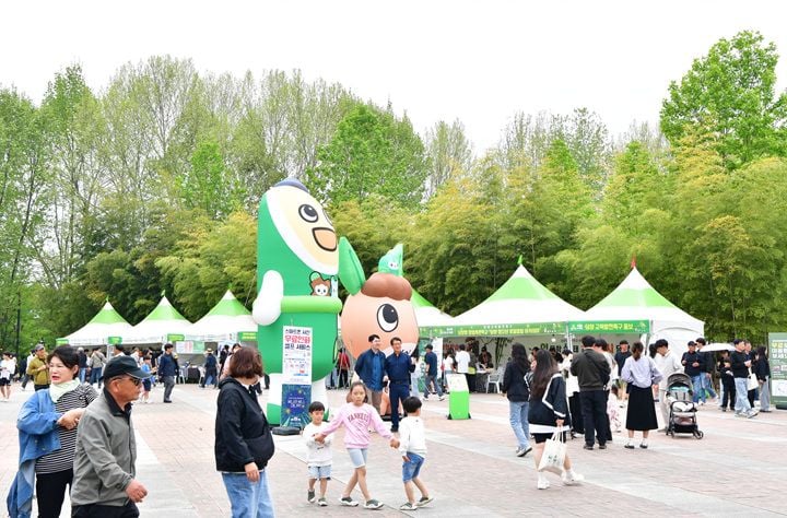 ⓒ담양군