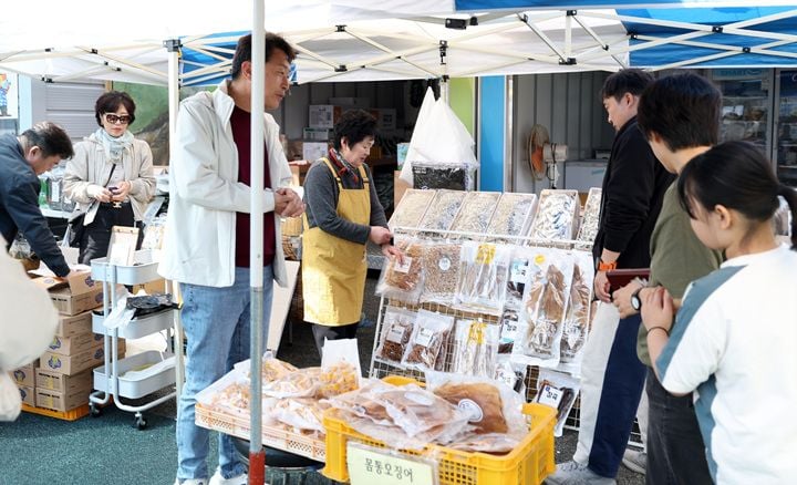 지난달 개장한 마량놀토수산시장 ⓒ강진군