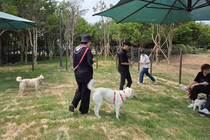 광주 서구가 풍암생활체육공원에 지역 최초 공공 반려견놀이터를 조성하고 30일부터 운영한다