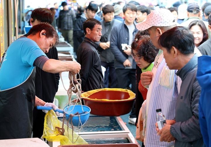 강진군 마량놀토수산시장이 7월 18일부터 8월 15일까지 매주 토요일 여름 이벤트를 개최한다. 키즈 플레이존, 컬러데이 드레스코드 인증, 영수증 및 스톱워치 경품 행사 등 다채로운 참여형 프로그램이 펼쳐진다.
