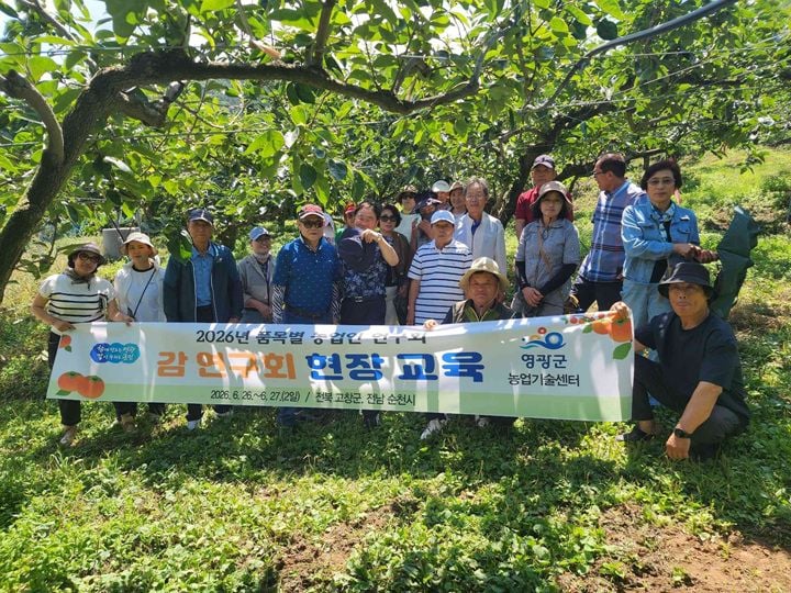 영광군 감연구회가 고창·순천 우수 농가를 방문해 여름전정, 토양관리 등 고품질 감 생산기술을 배우고 지역 감 산업 경쟁력 강화 방안을 마련했다