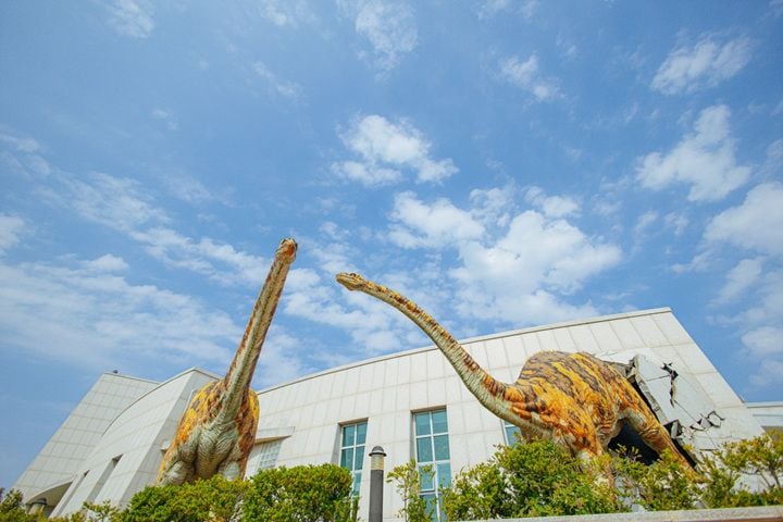 해남공룡박물관이 7월 25일부터 8월 30일까지 여름방학 특별 프로그램을 운영한다. 버블쇼, 화석발굴, 무료 물놀이장까지 다채로운 체험을 제공한다