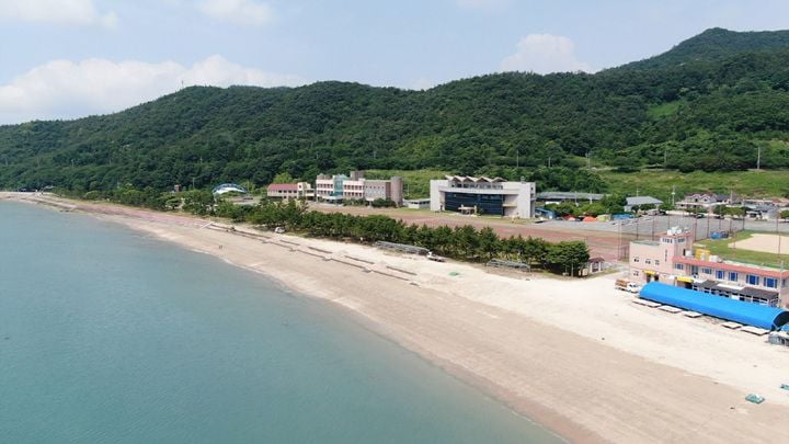 진도군 가계·금갑·신전·관매도 해수욕장이 8월 17일까지 운영된다. 안전요원 추가 배치와 해파리 방지막 설치로 피서객 안전을 확보했다.
