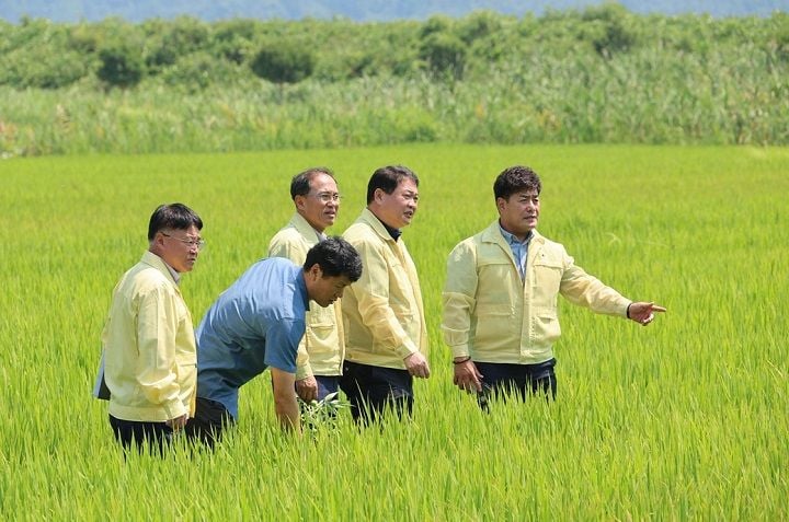 장흥군이 평년 대비 45%에 불과한 강수량과 73%의 저수율로 가뭄 피해가 우려됨에 따라 농업용수 확보 비상 체제에 돌입했다. 군은 부군수 주재로 주요 수리시설을 점검하고 노후 시설 긴급 보수, 하상굴착 펌핑, 조류지 준설 등 선제적인 용수 공급망 정비에 행정력을 집중하고 있다.