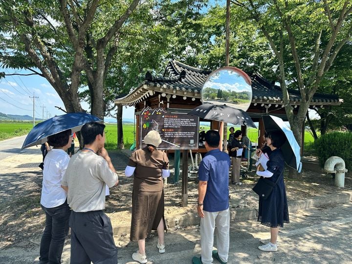 전남광주통합특별시 나주시가 으뜸마을 만들기 사업을 조기 완료한 19개 마을의 현장평가를 실시하고, 컨설팅단 지원을 연계해 우수마을 5곳을 선발한다.