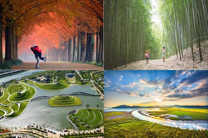 문체부 ‘대한민국 대표 명소 100×100’에 전남광주 1032곳이 선정됐다(시계방향으로 담양 메타세쿼이아 &nbsp;담양 죽녹원 &nbsp;순천만국가정원 순천만습지)