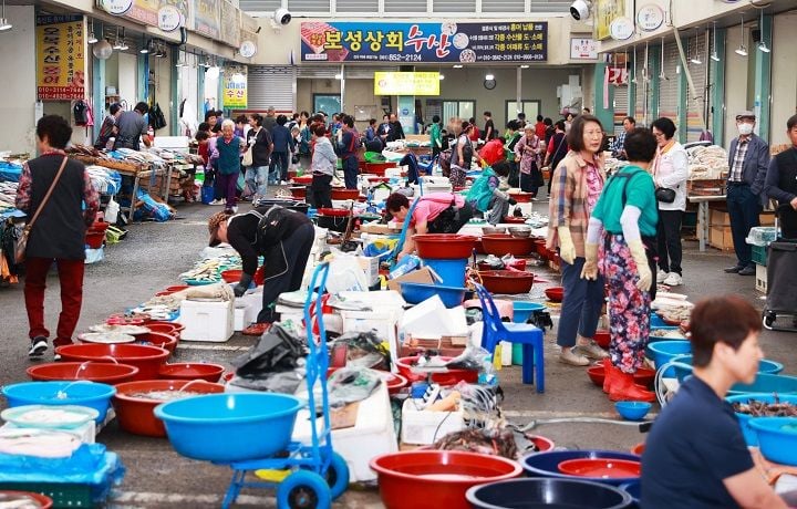  보성군이 지급한 농어촌 기본소득 가운데 약 63억 원이 12일 만에 지역 가맹점에서 사용됐다. 첫 지급보성군 농어촌 기본소득 첫 지급액 124억4,560만 원 가운데 약 63억 원이 12일 만에 사용됐다. 면 지역 소비액도 전체의 38.1%를 차지했다. 사진=녹차골 전통시장 전경(보성군 제공)
