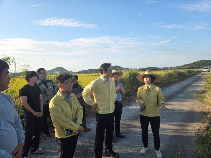 영암군 농가에 벼멸구 발생으로 인한 '호퍼번' 피해가 확인됐다. 영암군농업기술센터는 수확 전 안전사용기준을 준수한 신속한 방제를 당부했다.