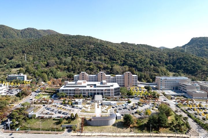 화순전남대병원이 뉴스위크 ‘세계 암 전문병원’에 7년 연속 선정됐다. 비수도권 병원 중 유일하게 이름을 올리며 최고 수준의 역량을 입증했다.