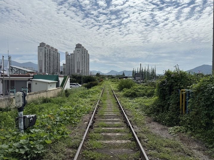 화순군이 국가철도공단 철도 유휴부지 활용사업에 선정돼 화순역에서 광덕교차로까지 옛 복암선 폐철도 3km를 2029년까지 생태 테마 숲길로 조성한다.