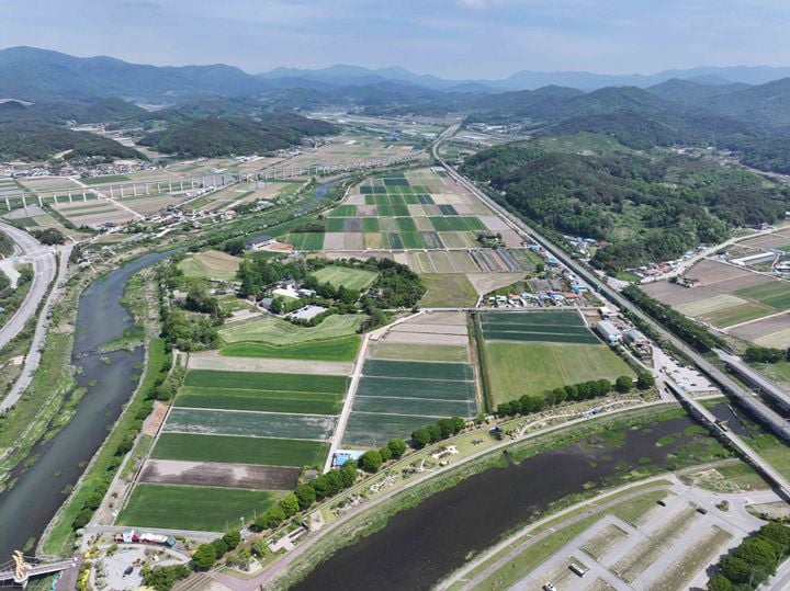 장성읍 장안지구 전경. 장성군이 국비 112억 원을 들여 장안·황룡지구 배수개선사업을 추진한다.