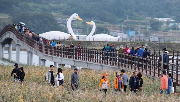 제11회 강진만 춤추는 갈대축제가 10월 24일부터 11월 1일까지 강진만 생태공원에서 개최된다. 생태탐험대, 자원순환 체험, 생태체험관, 키즈존 등 다채로운 프로그램이 펼쳐진다.