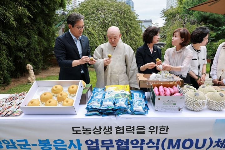 민선 9기 영암군이 출범 100일을 맞아 22개 현장소통을 전개했다. 삼호읍 임대아파트 보증금 문제 해결과 무화과 산업 육성 등 민생 성과를 냈다.